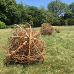 LambertKealan01-tumbleweed